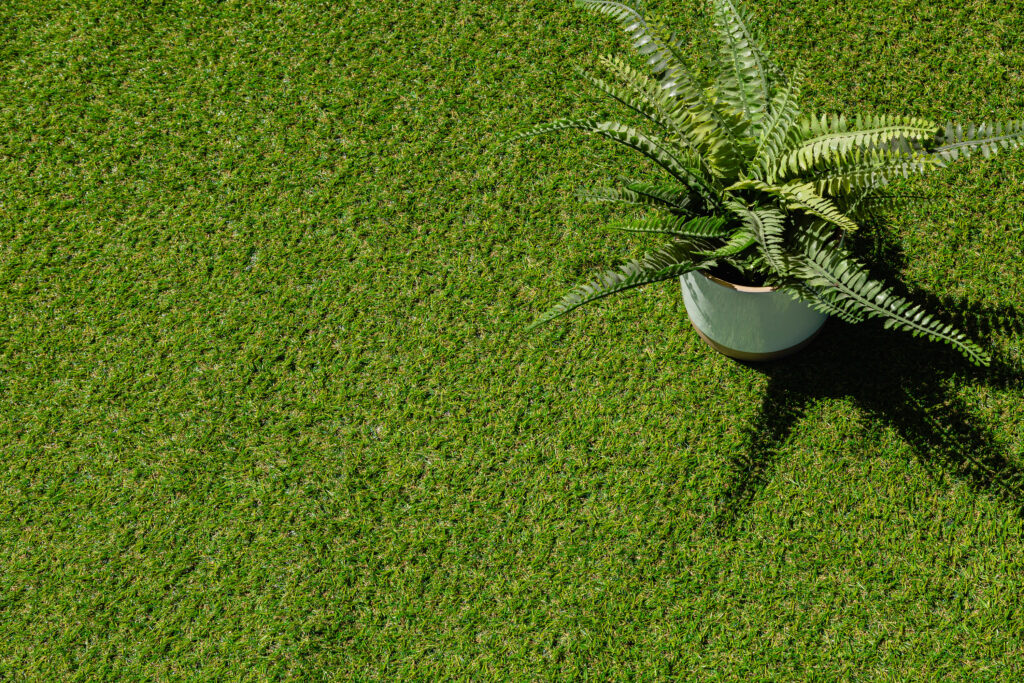 Artificial Grass