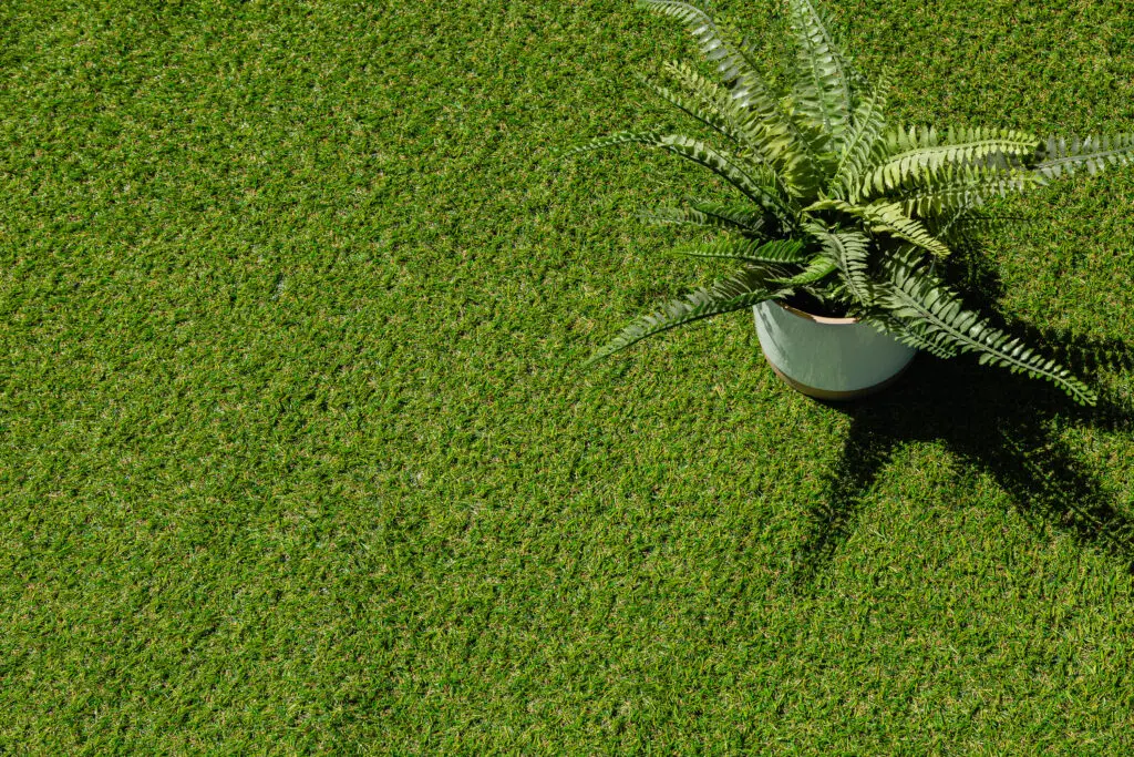 Artificial Grass