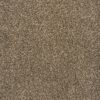 Esteli in New Beige